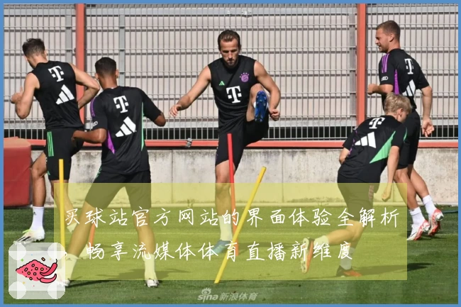 买球站官方网站的界面体验全解析，畅享流媒体体育直播新维度