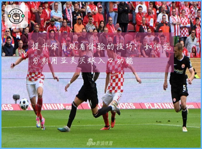 提升体育观看体验的技巧：如何充分利用亚美买球入口功能